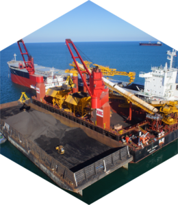 Gallery-Bulk-Celebes-01